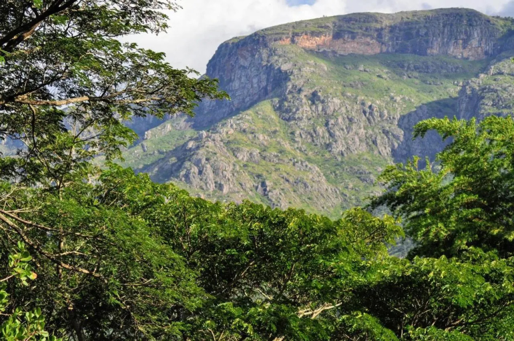 Jungle Hut Resorts - Général