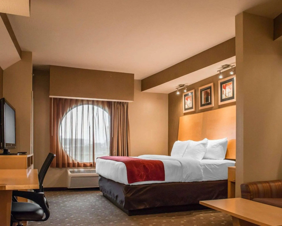 1 Bedroom Suite