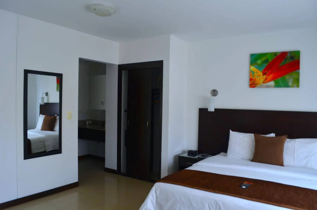 Hotel Pinares Plaza - Général
