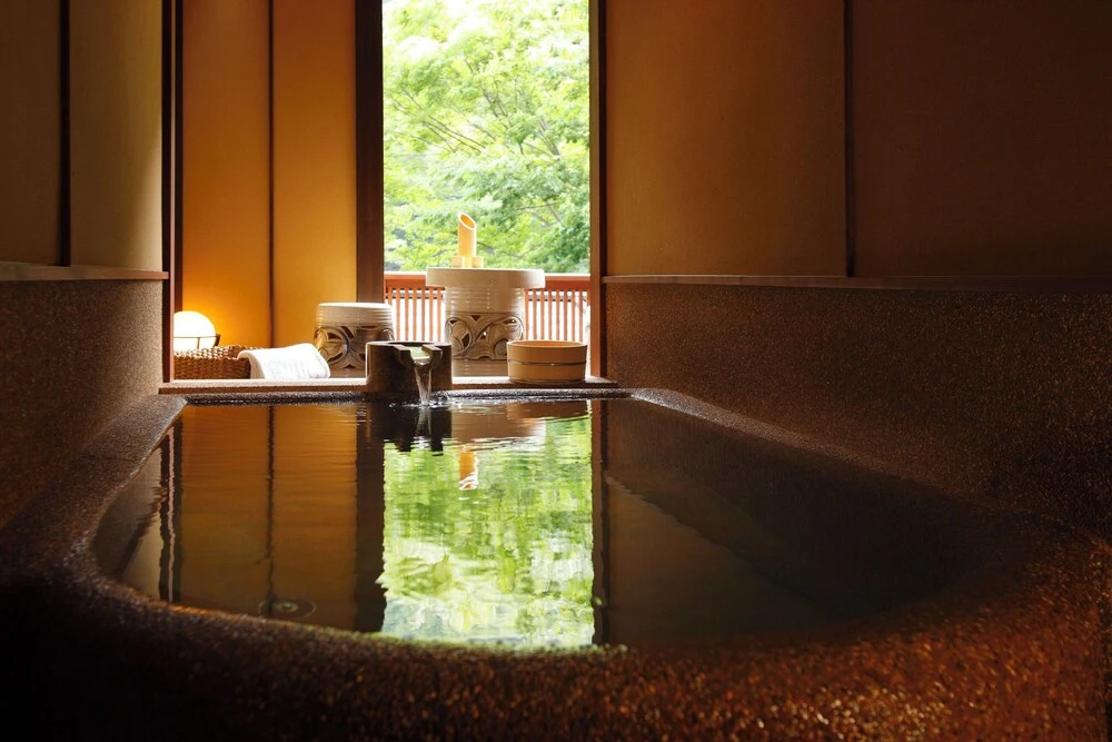Tonosawa Onsen Yamano Chaya Ryokan 사진 5
