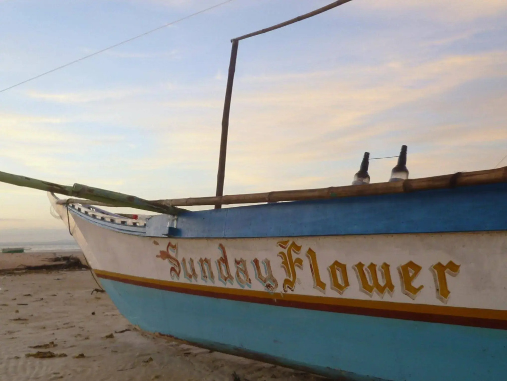 Sunday Flower Hotel