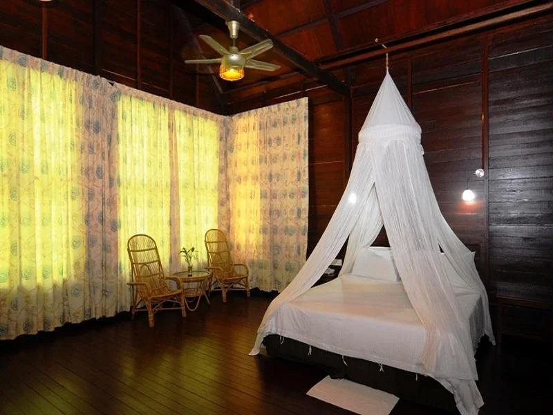 Sukau Rainforest Lodge - фото 3