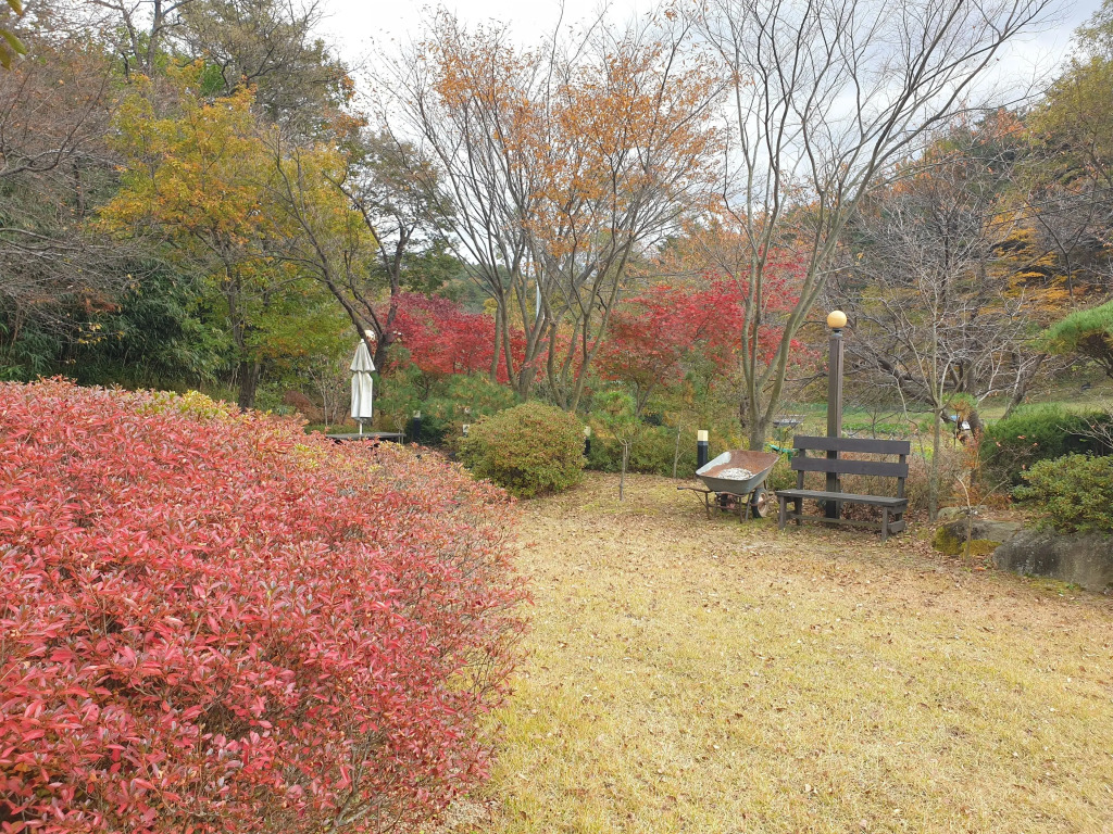 Daegwangryeong Angol Red Clay Pension — фото 3