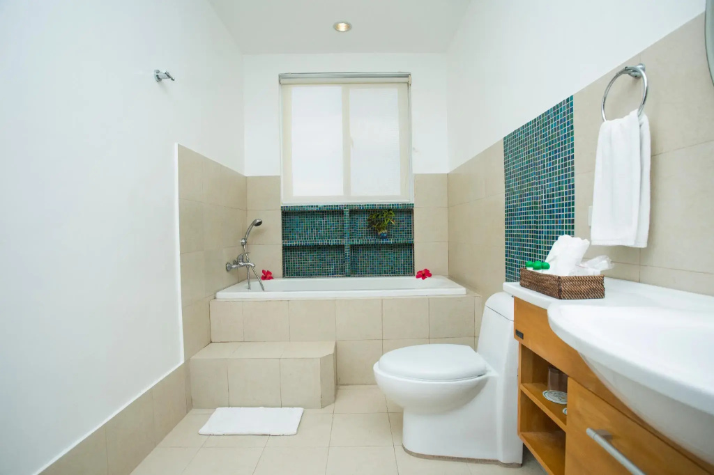 Deluxe Double room (twin beds)