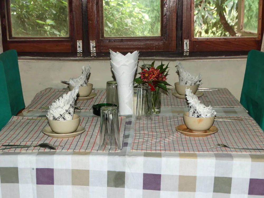 Nepal Wildlife Resort - Général