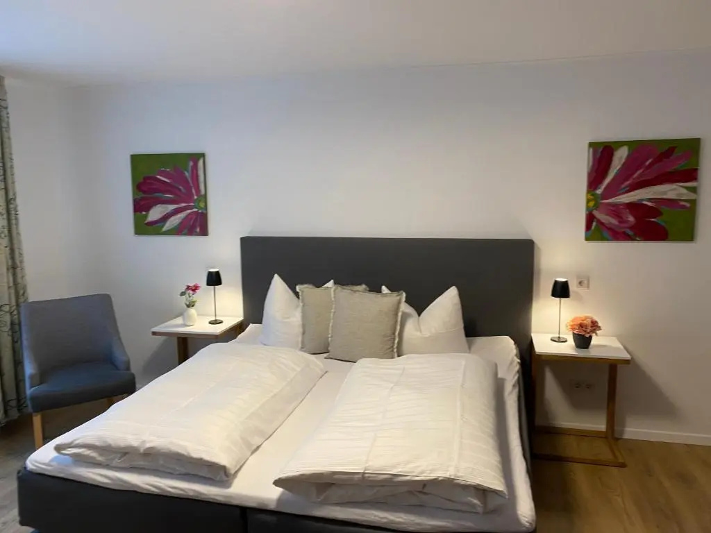 Standard Double room (full double bed)