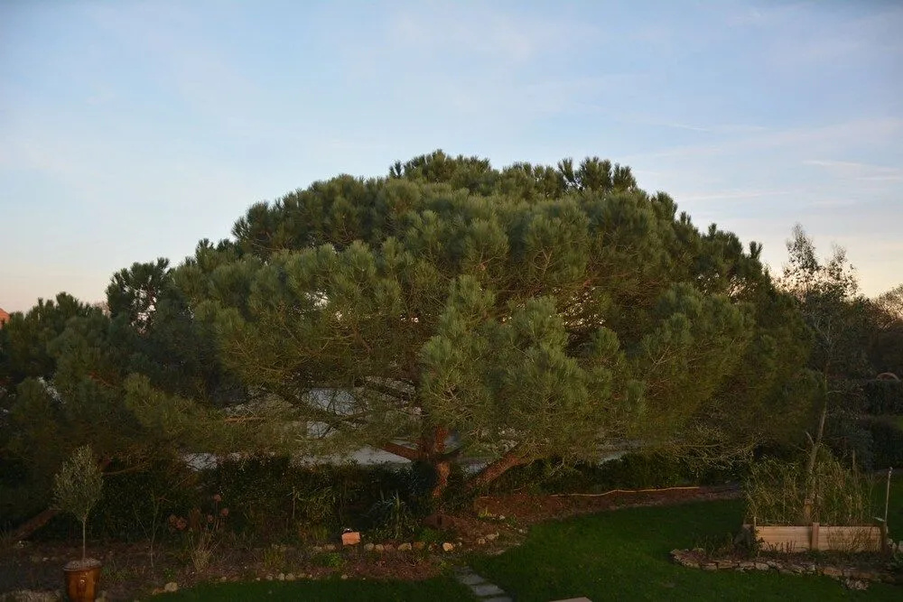 L'Abri' Côtier