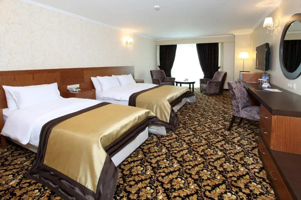 Arya Hotel Business Deluxe — 3
