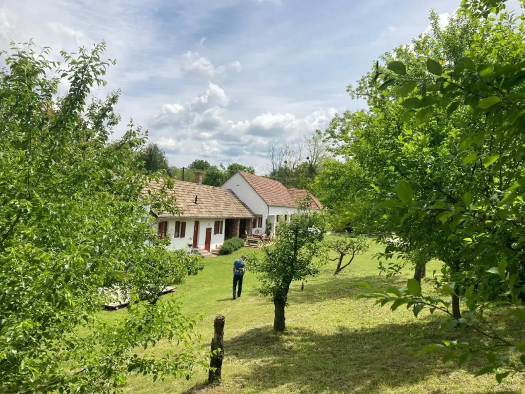 Körte Porta - фото 11