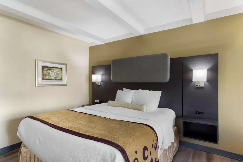 Best Western Plus Madison-Huntsville Hotel - Chambres