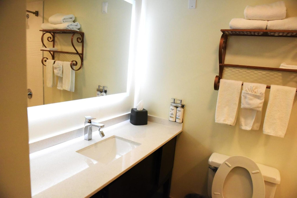 Holiday Inn Piscataway Somerset by IHG - Général