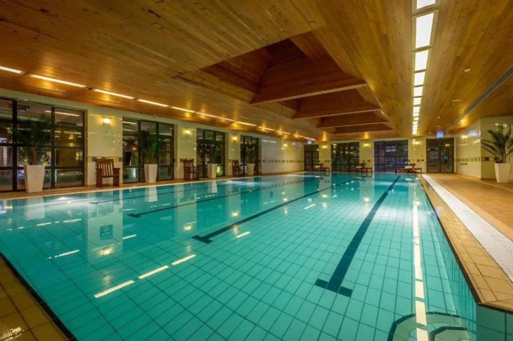 Castletroy Park Hotel - Général