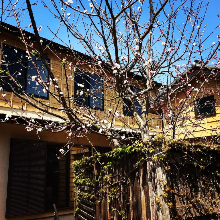 Guest House Kamakura Zen-ji
