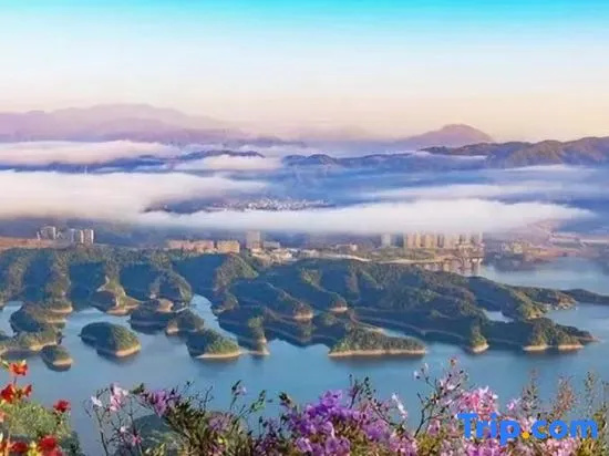 Log fragrant cottage in Hangzhou