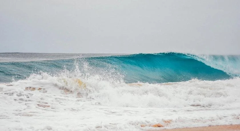 Stay Bocas - Général