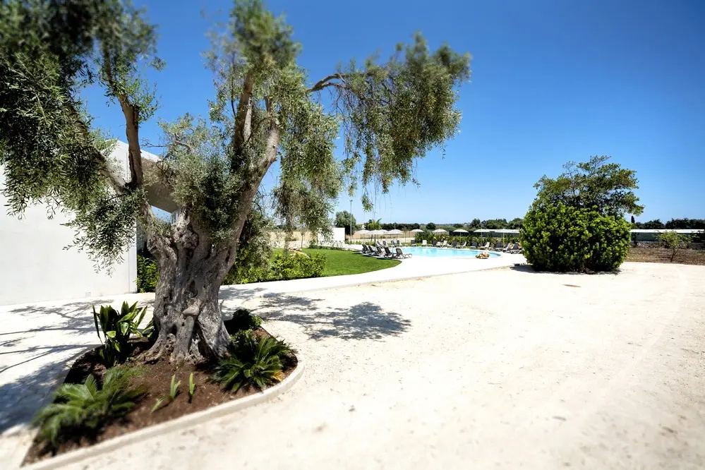 Beach & Waterfront