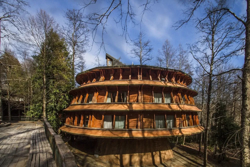 Huilo Huilo Reino Fungi