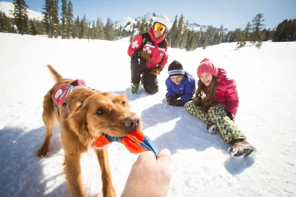 2br+ Loft Centrally Located Kirkwood Great Value 2 Bedroom Condo by RedAwning - фото 10