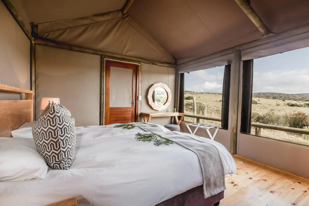 Hlosi Game Lodge - Amakhala Game Reserve - фото 5