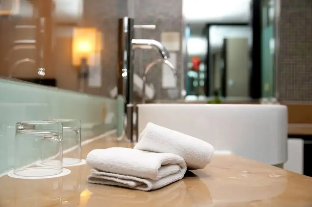 Hotel Domus Expo - Général