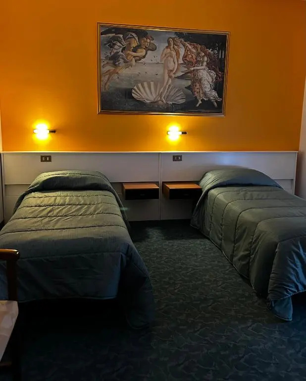 Standard Double room (twin beds)