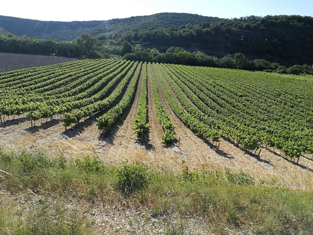 MONLOUBIER