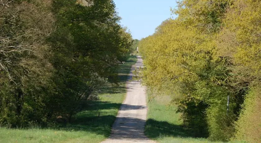 Afficher la photo 8 — Gîte du Haras des Hayes