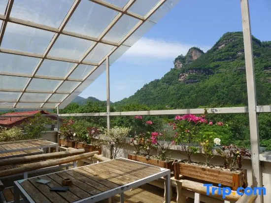 Balcony & Terrace