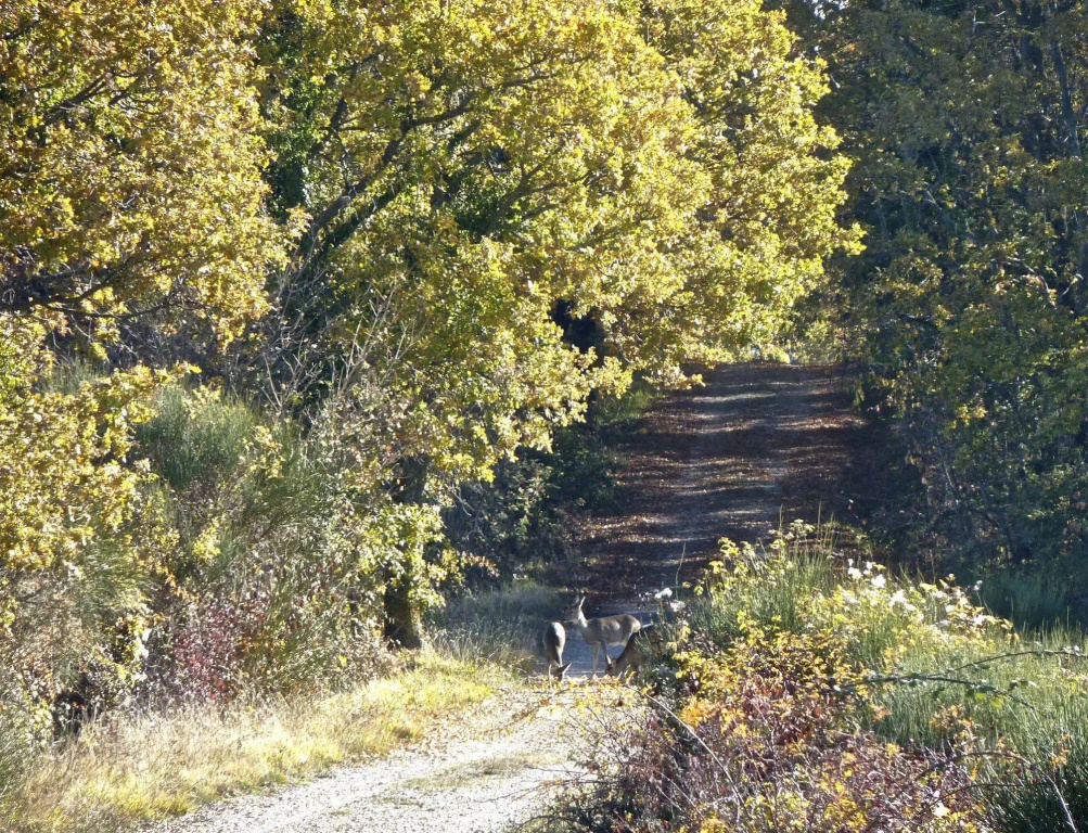 Agriturismo Kebio
