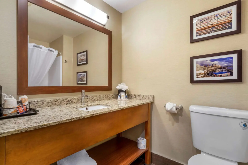 Comfort Inn & Suites Sea-Tac Airport - Général