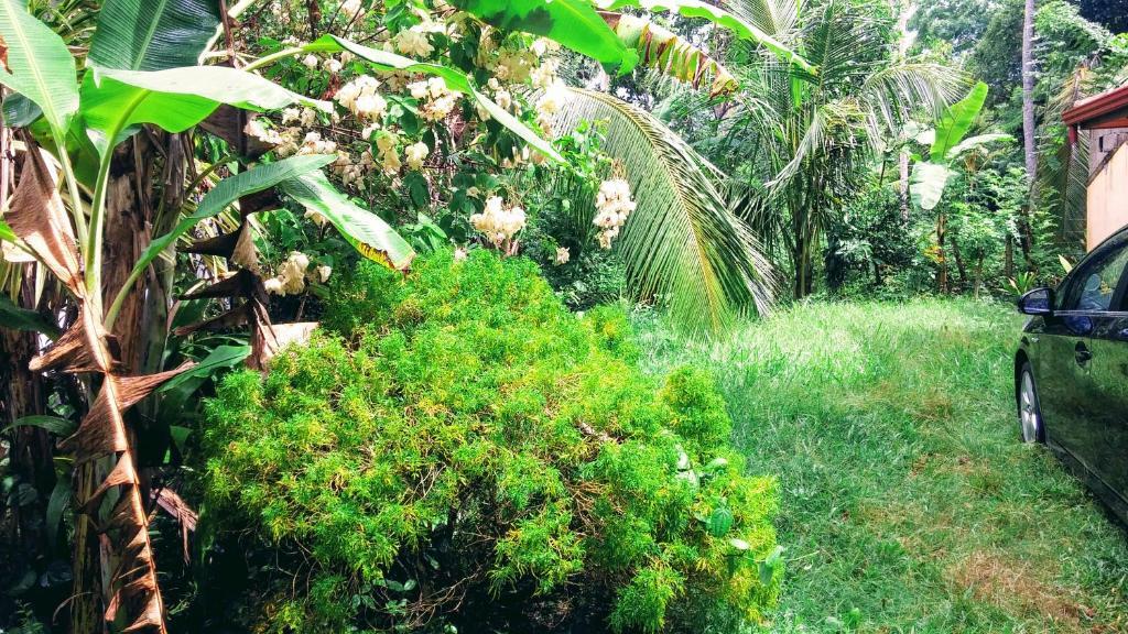 Mahawewa Nature Resort