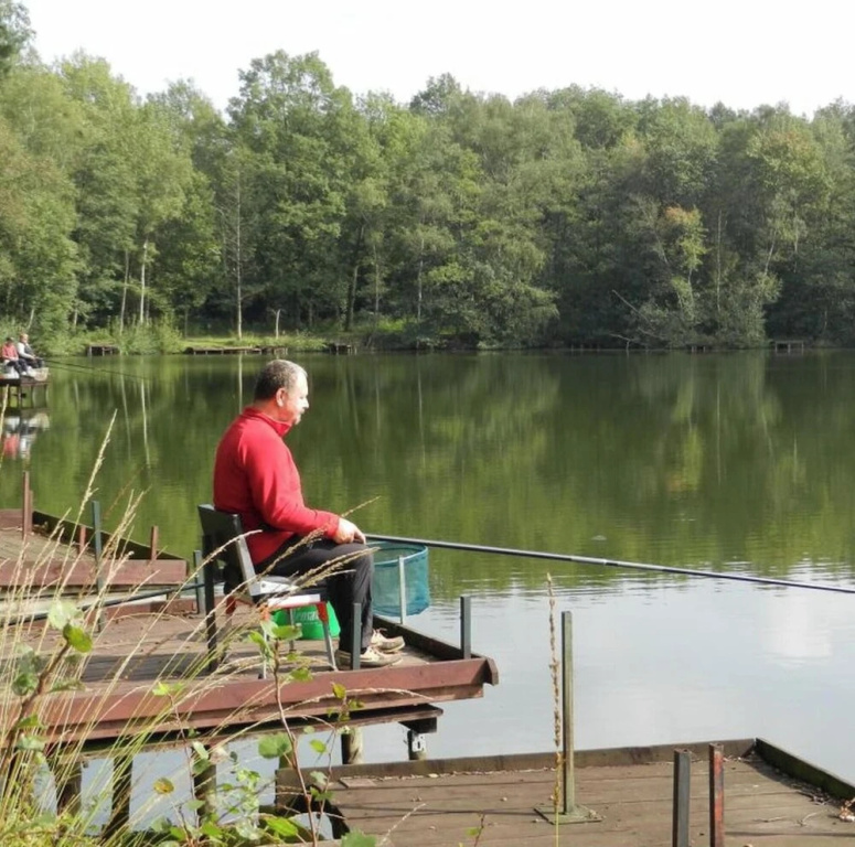 Nature-infused Stay, Turnhout