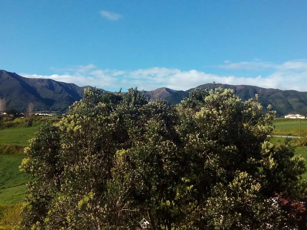 Quinta do Quarteiro