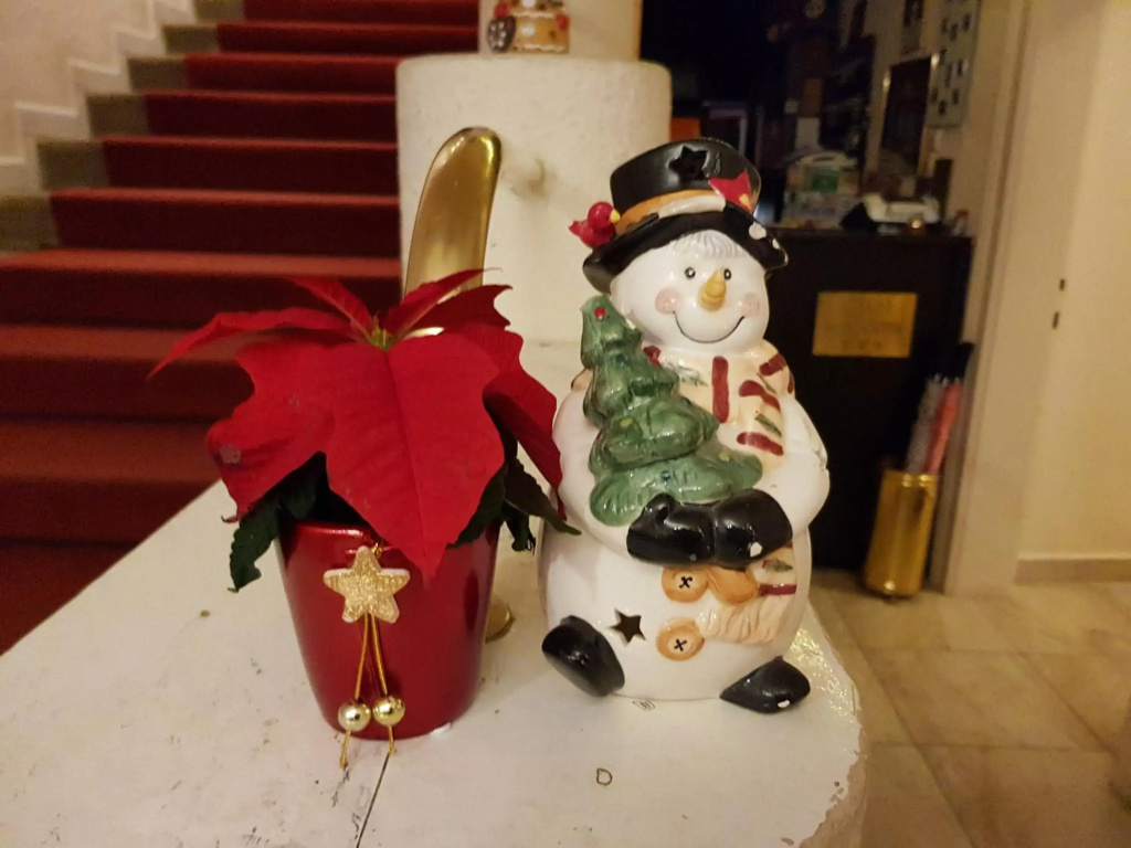 Hotel photo 23