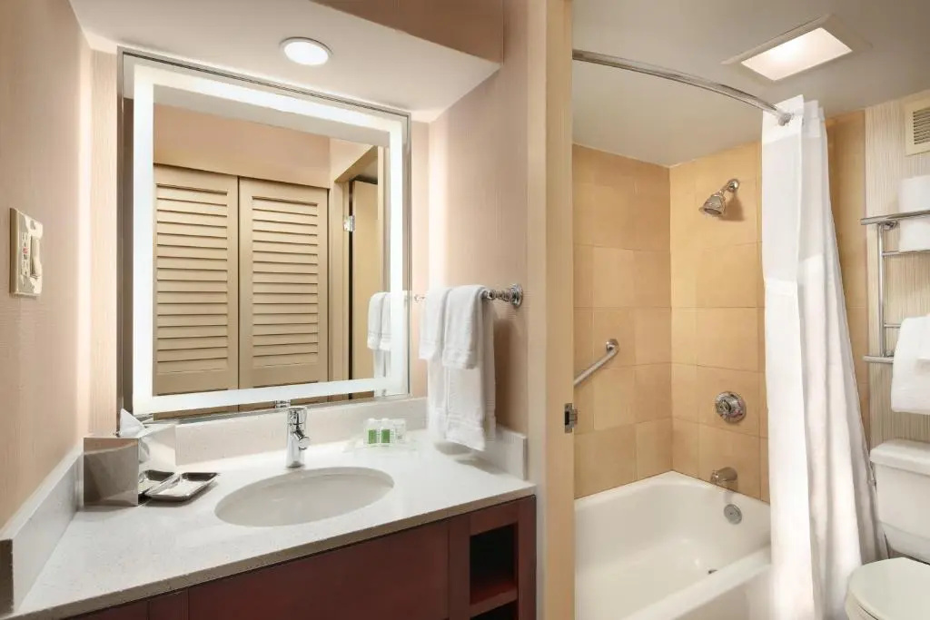 Holiday Inn Austin -Town Lake by IHG - Chambres