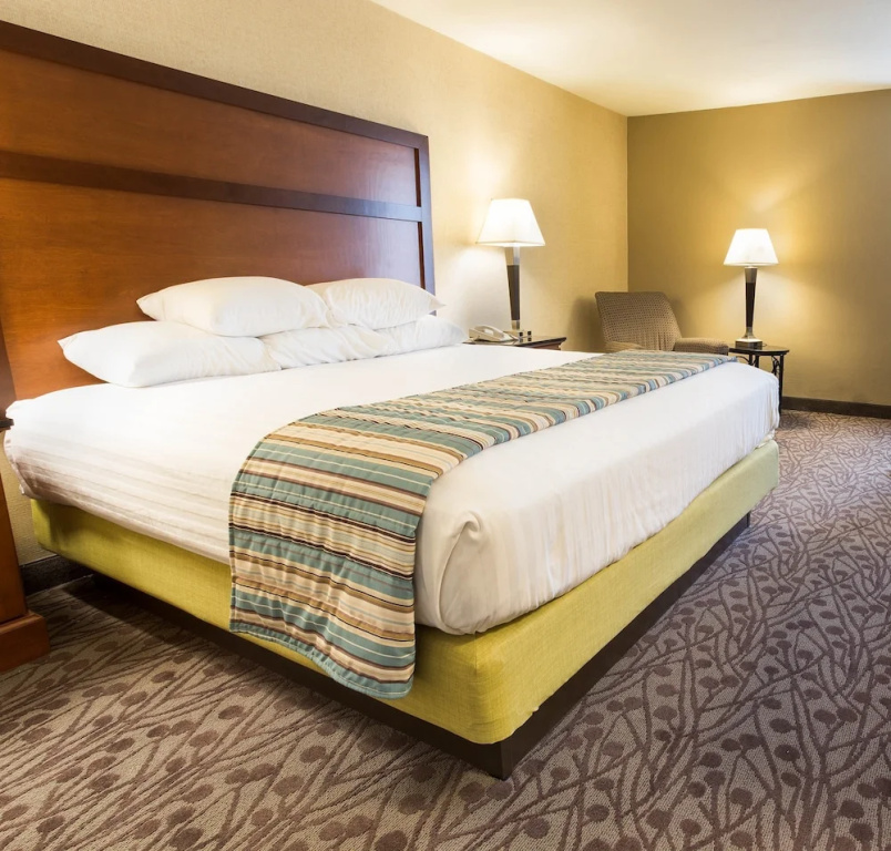 Drury Inn & Suites Atlanta Airport - Chambres