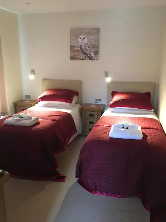Standard Double room (twin beds)