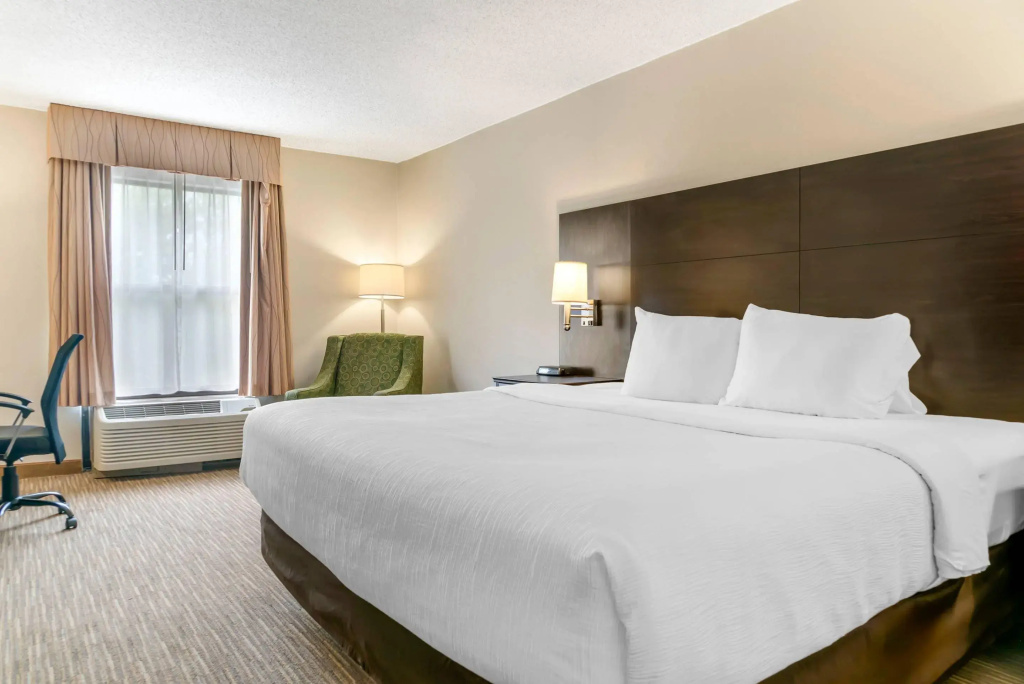 Standard Double room (full double bed)