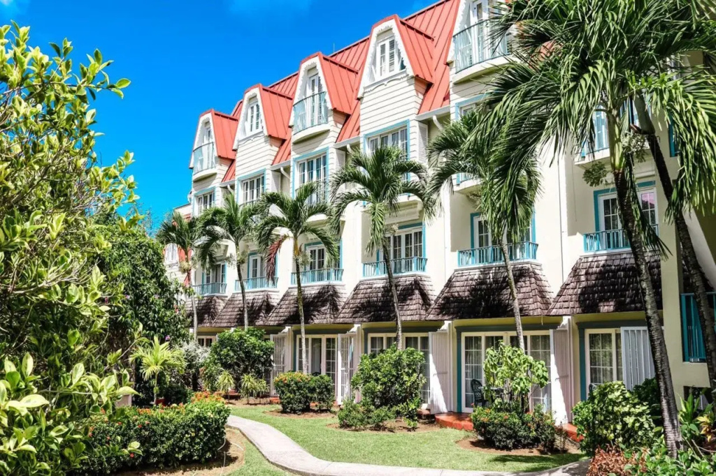 Coco Palm