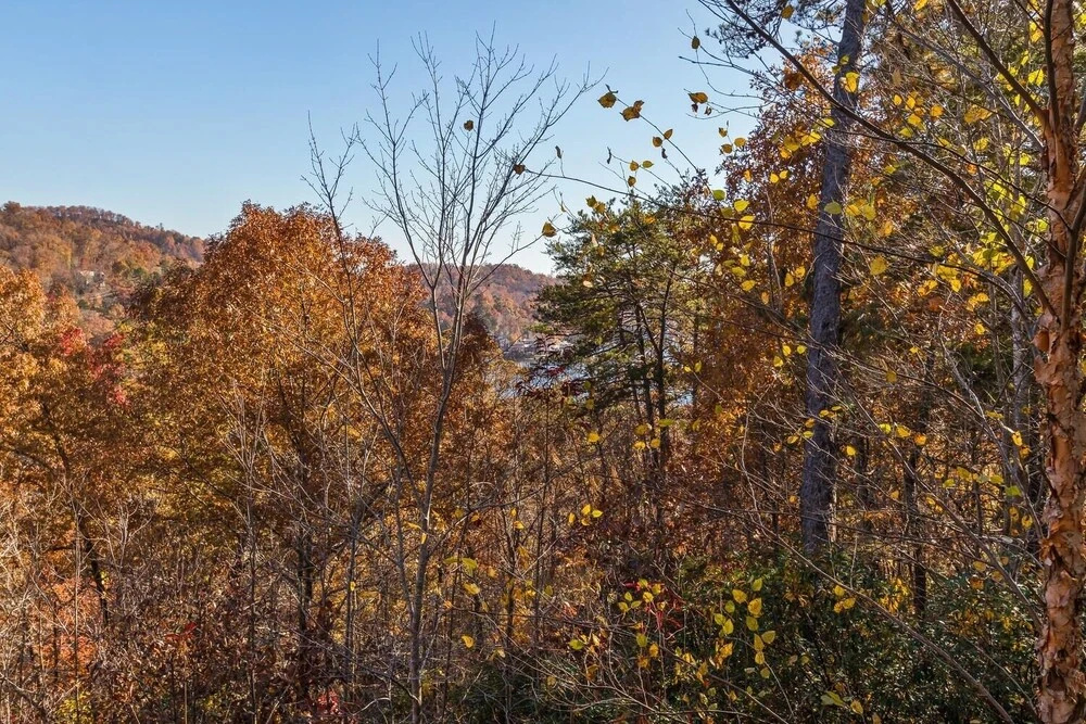 Rumbling Bald Resort Home In Lake Lure - Wifi - Community Beach, Pool, Golf And More 5 Bedroom Home by Sunscape Property Management