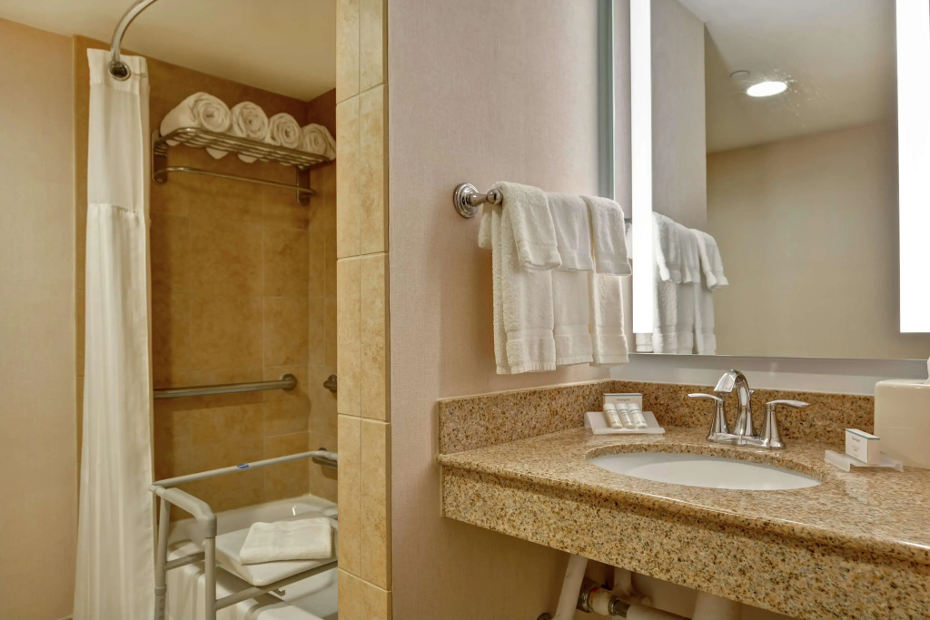 Hilton Garden Inn Lake Buena Vista/Orlando - Général