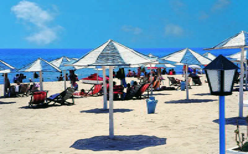 Beach & Waterfront
