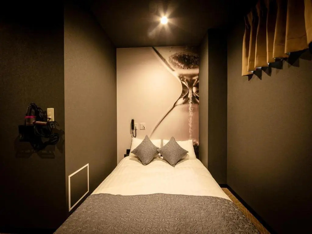 Standard Double room (full double bed)