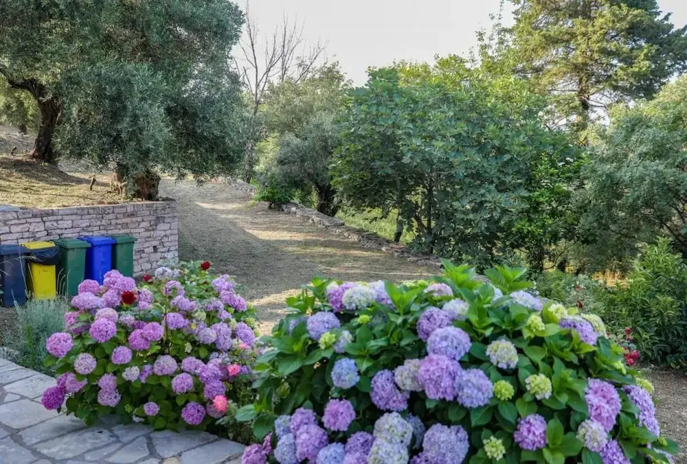 Sinies Stone Cottage - NE Corfu