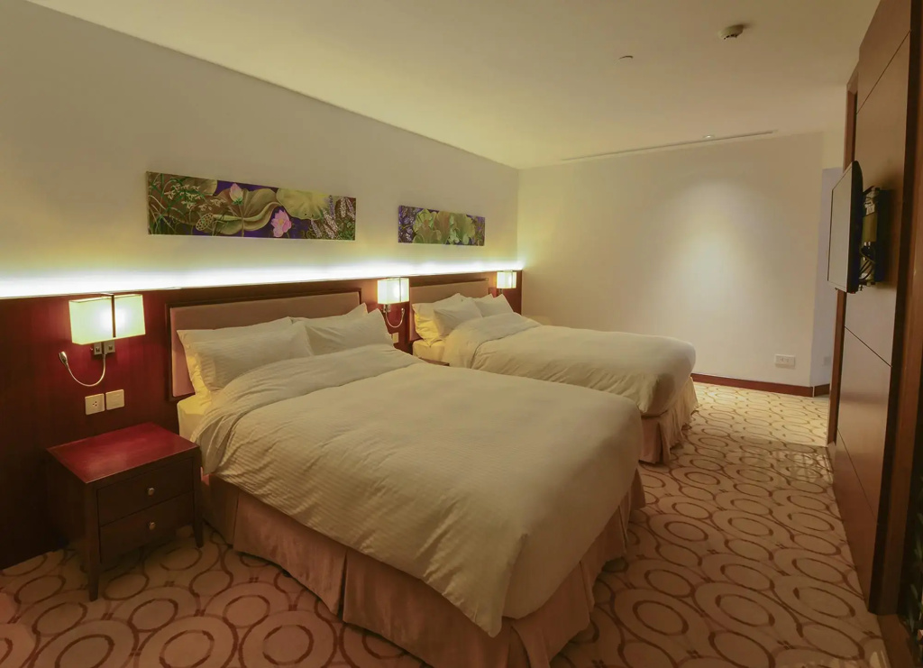 Aristo International Hotel - Général