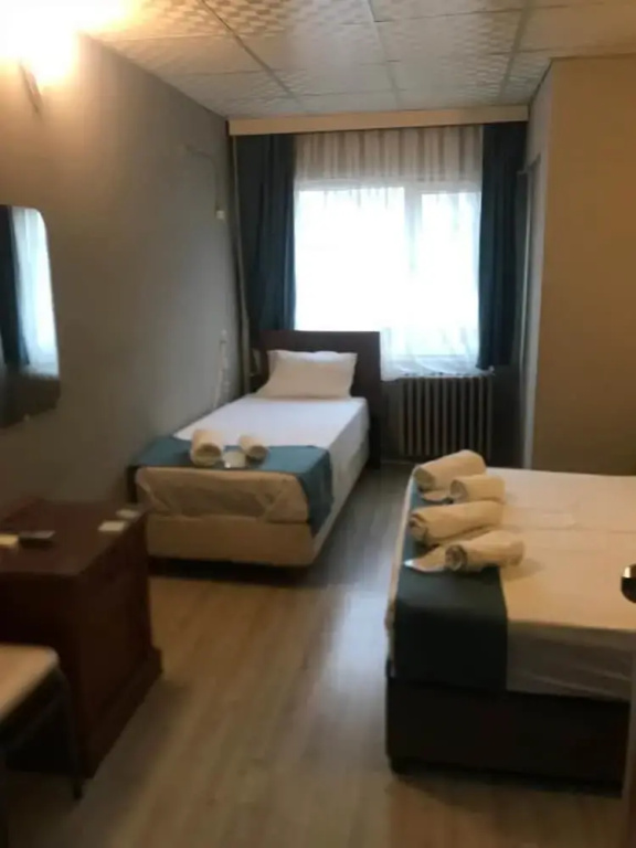 Standard Double room (twin beds)