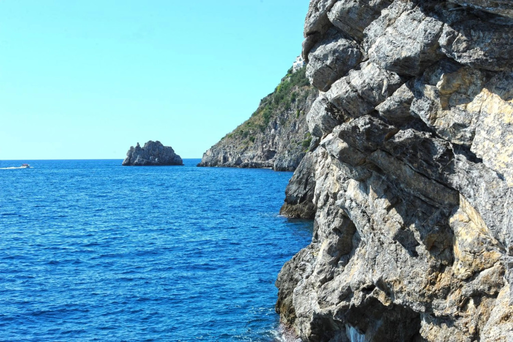 Image 31
