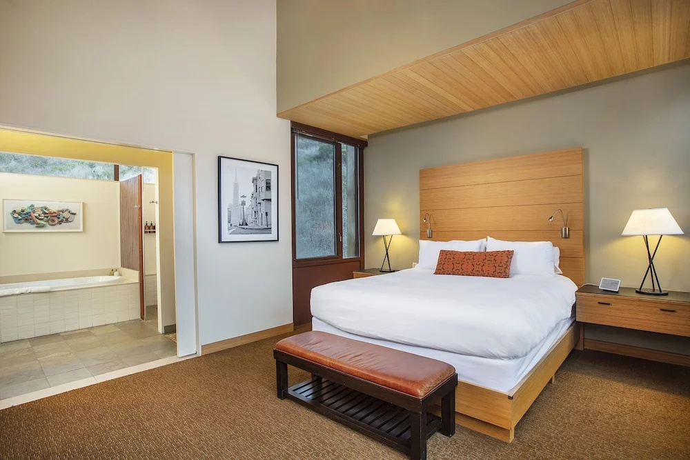 Contemporary Double Suite (full double bed)