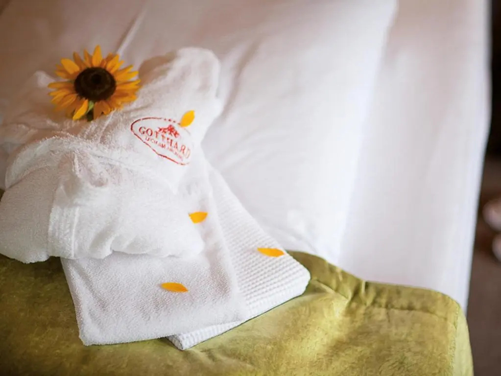 Hotel Gotthard - Chambres