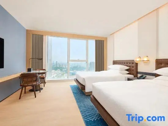 Standard Double room with city view (twin beds)